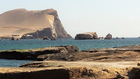 paracas