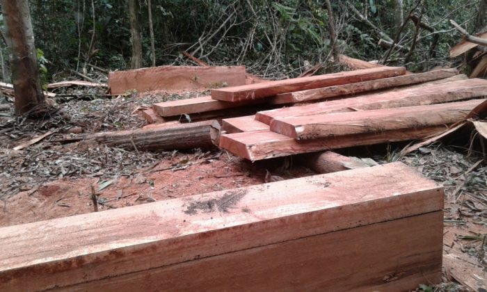 actualidad_ambiental_reserva_tambopata_2