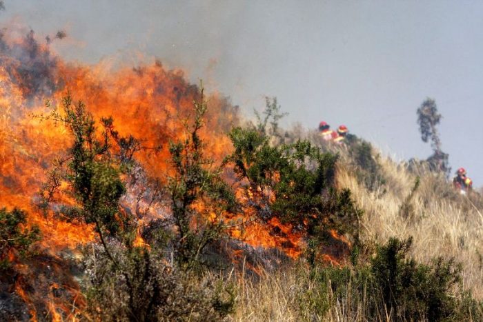 incendio-forestal-andina