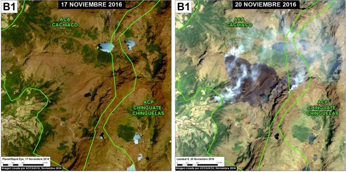 incendios_forestales_actualidad_ambiental_maap_1