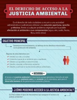 spda-infografia-justiciaambiental_recortado
