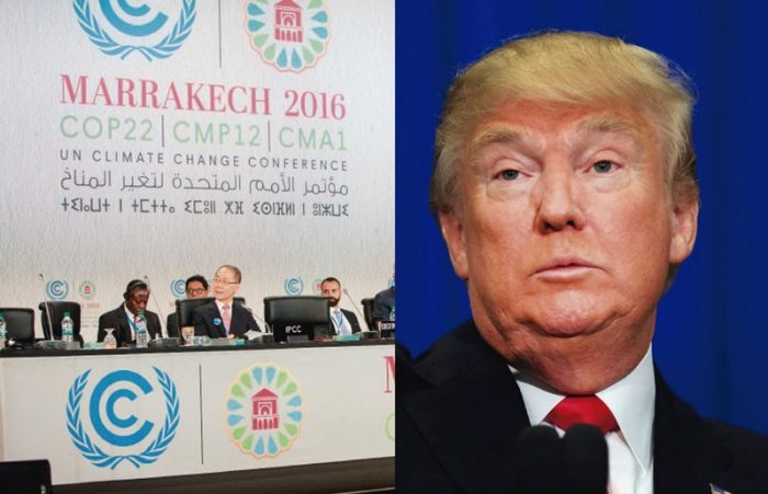 trump-y-cop22