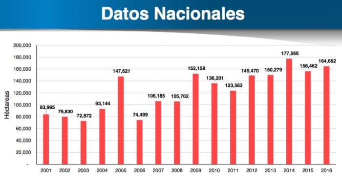 Datos oficiales de bosques y pérdida de cobertura de bosques húmedos amazónicos - 2016.