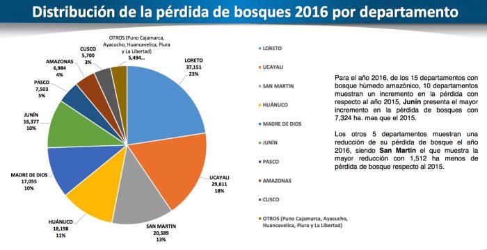 Datos oficiales de bosques y pérdida de cobertura de bosques húmedos amazónicos - 2016.