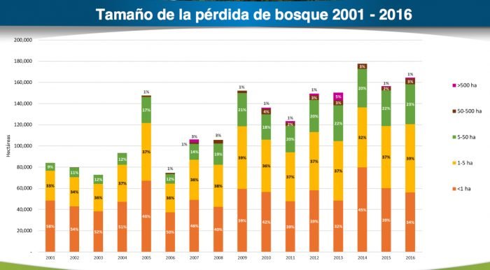 Datos oficiales de bosques y pérdida de cobertura de bosques húmedos amazónicos - 2016.