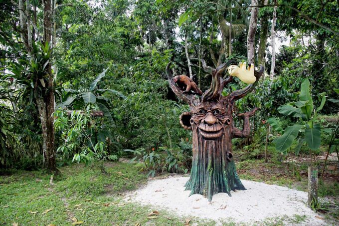 Conoce el Centro de Rescate Amazónico (CREA)