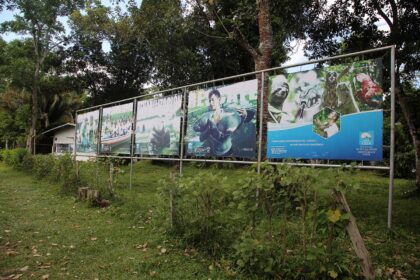 Conoce el Centro de Rescate Amazónico (CREA)