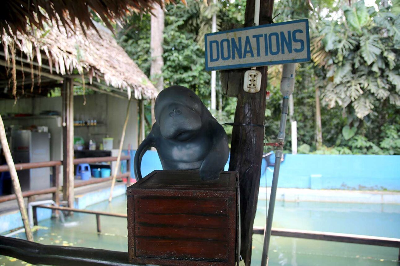 Conoce el Centro de Rescate Amazónico (CREA)