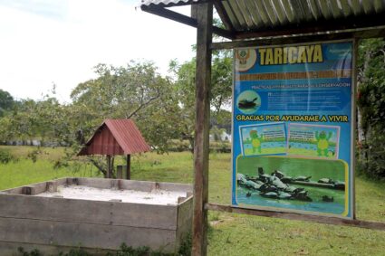 Conoce el Centro de Rescate Amazónico (CREA)