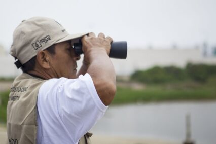 Día Mundial de las Aves Migratorias