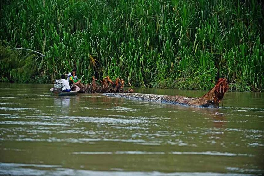 Parque Nacional del Manu