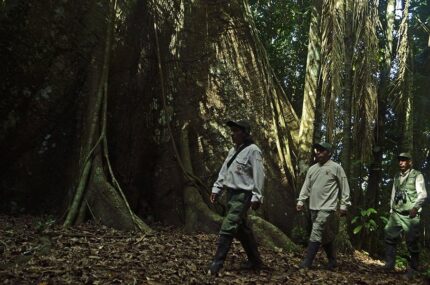 Parque Nacional del Manu
