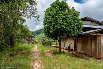 Bosque Vista Alegre Omia