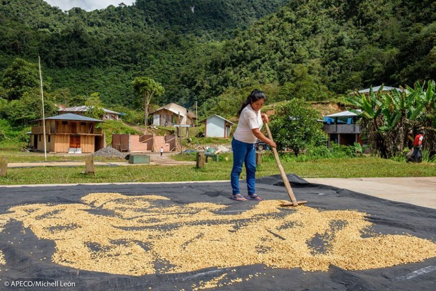 Bosque Vista Alegre Omia
