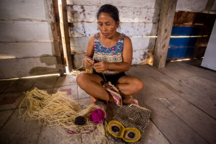 Conoce el Área de Conservación Regional Ampiyacu Apayacu