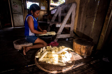 Conoce el Área de Conservación Regional Ampiyacu Apayacu