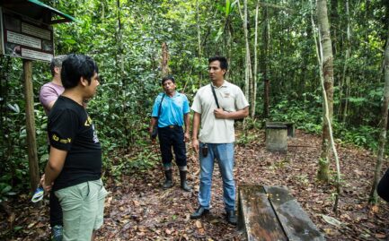 hackaton_amazonia_spda_30