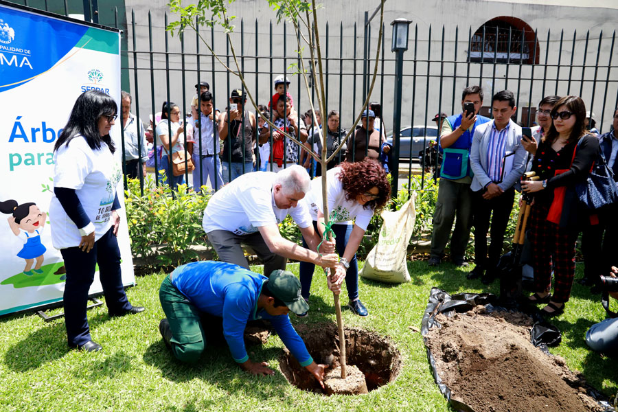Details 100 iniciativa plantar árboles
