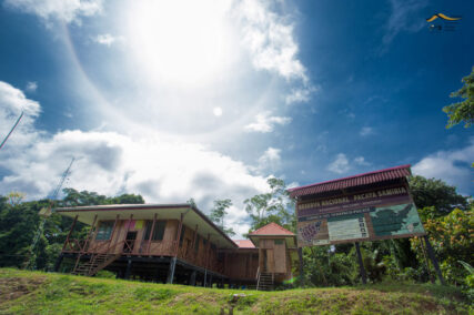 PacayaSamiria-KevinArce.12