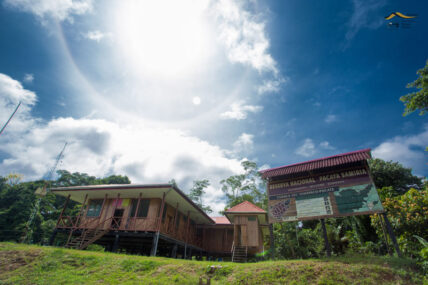 PacayaSamiria-KevinArce.12