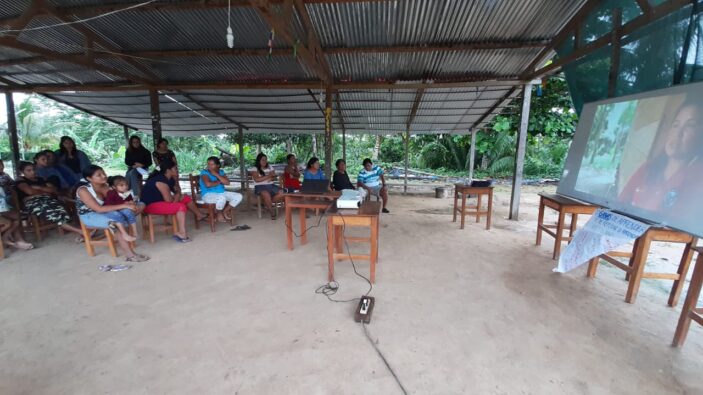 SPDA-Fenamad-Santa Teresita