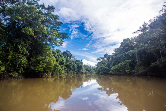 ACR-Ampiyacu-Apayacu-2 SPDA