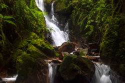 Chuyapi Urusayhua: joya cusqueña espera convertirse en área de conservación regional