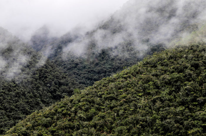 Chuyapi Urusayhua: joya cusqueña espera convertirse en área de conservación regional