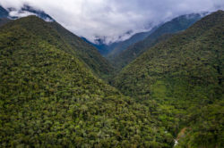 Chuyapi Urusayhua: joya cusqueña espera convertirse en área de conservación regional