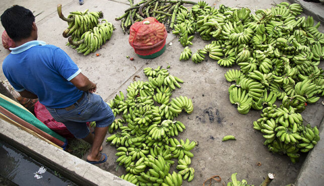 bellavista_mazan_salvador_estrecho_spda_5
