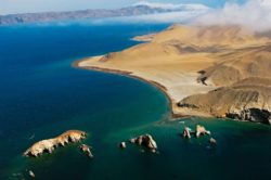 Reserva Nacional de Paracas