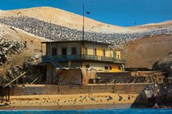 Reserva Nacional de Paracas