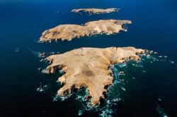 Reserva Nacional de Paracas