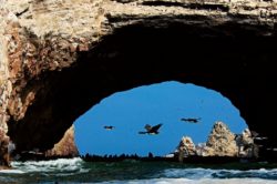 Reserva Nacional de Paracas