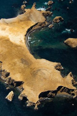 Reserva Nacional de Paracas