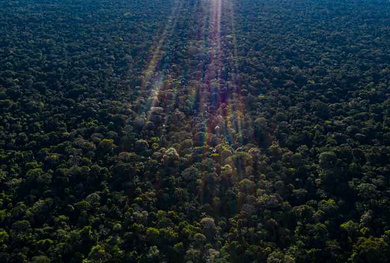 parquenacionalGueppí_Diego_WWF_2