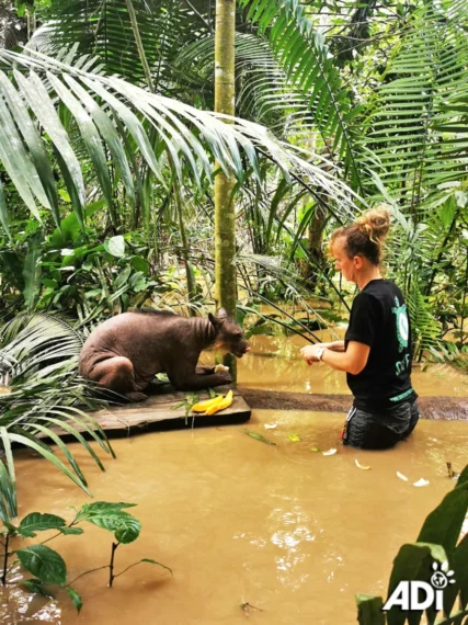 Taricaya-santuario-1