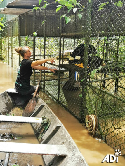 Taricaya-santuario-2