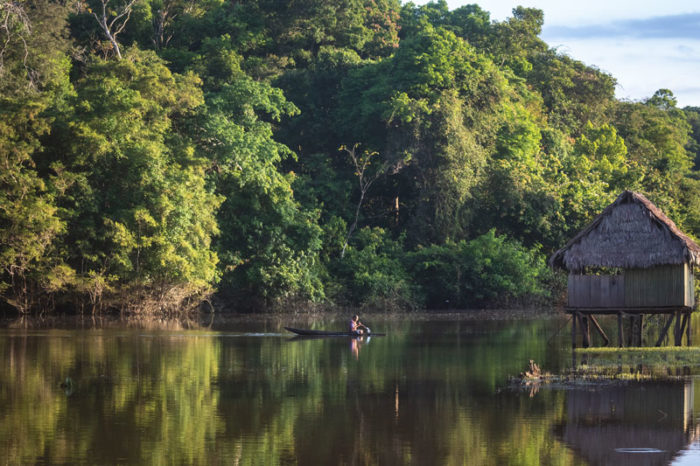 Organizan diálogo electoral sobre el futuro de los bosques y pueblos amazónicos / Viernes 19 de Marzo, 2021