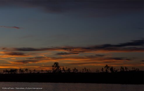 ACR Comunal Alto Tamaya-