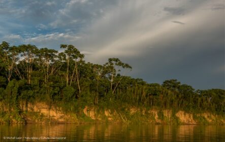 ACR Comunal Alto Tamaya