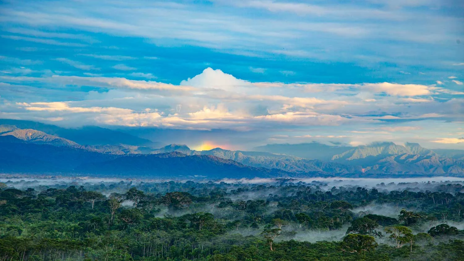 Paisaje ACR Codo del Pozuzo