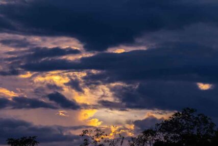 Gueppí_Diego-Pérez_WWF-(1)