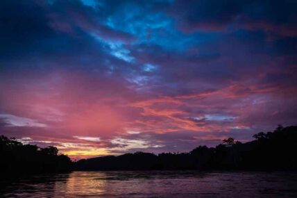 Gueppí_Diego-Pérez_WWF-(2)