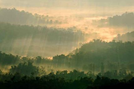 PNCordilleraAzul3_MarlonDAG_nousarsinpermiso