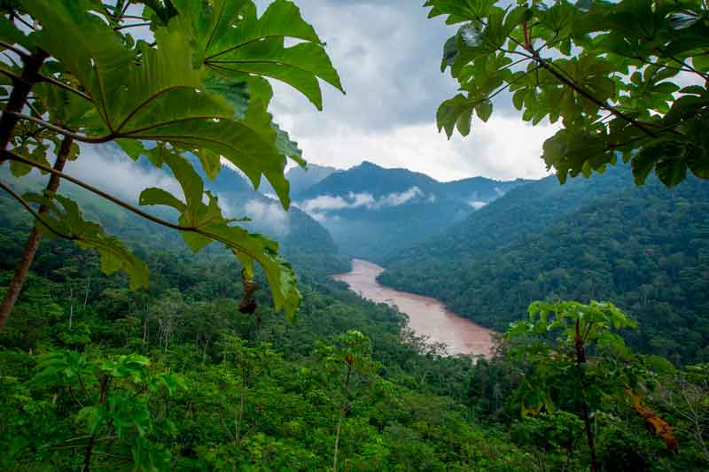 PNCordilleraAzul_MarlonDAG_nousarsinpermiso