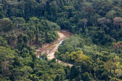 Sierra-del-divisor_DiegoPérez_WWF-(6)