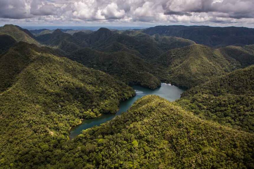 Sierra-del-divisor_DiegoPérez_WWF-(8)