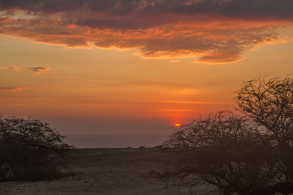 Zona Reservada Illescas. Foto: Conservamos por Naturaleza