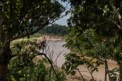 Comunidad nativa Santa Rey de Purús